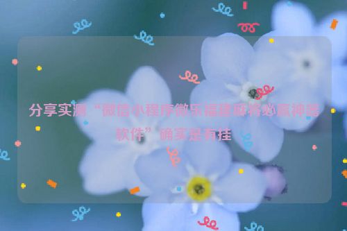 分享实测“微信小程序微乐福建麻将必赢神器软件”确实是有挂