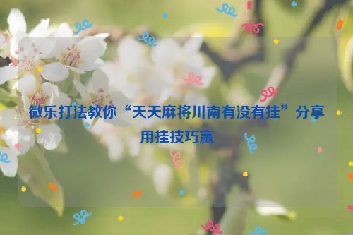 微乐打法教你“天天麻将川南有没有挂”分享用挂技巧赢