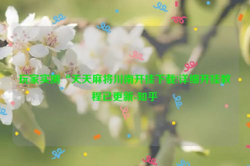 玩家实测“天天麻将川南开挂下载!详细开挂教程已更新-知乎