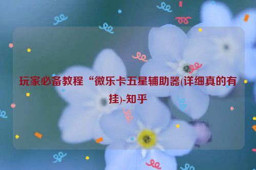 玩家必备教程“微乐卡五星辅助器(详细真的有挂)-知乎