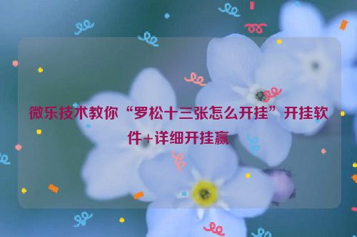 微乐技术教你“罗松十三张怎么开挂”开挂软件+详细开挂赢