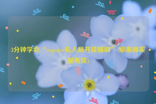 3分钟学会“wepoker私人局开挂辅助”(原来确实是有挂)