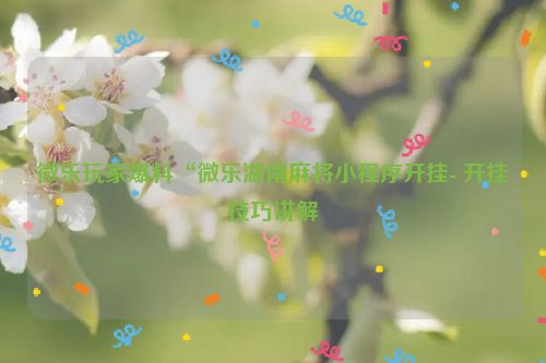 微乐玩家爆料“微乐湖南麻将小程序开挂- 开挂技巧讲解