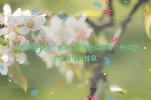 微乐必赢教你“微乐a3纸牌开挂神器”开挂软件+详细开挂赢