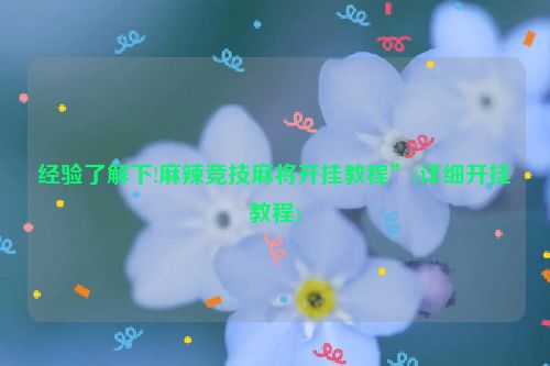 经验了解下!麻辣竞技麻将开挂教程”(详细开挂教程)