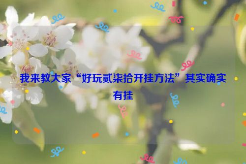 我来教大家“好玩贰柒拾开挂方法”其实确实有挂