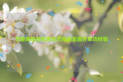 节能减排迎低碳经济应借鉴国外成功经验