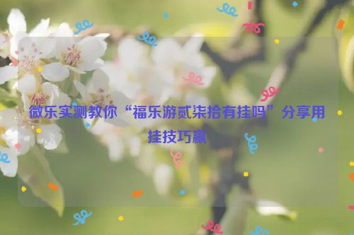 微乐实测教你“福乐游贰柒拾有挂吗”分享用挂技巧赢