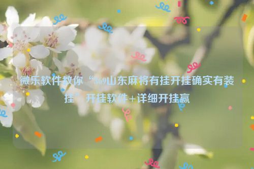 微乐软件教你“369山东麻将有挂开挂确实有装挂”开挂软件+详细开挂赢