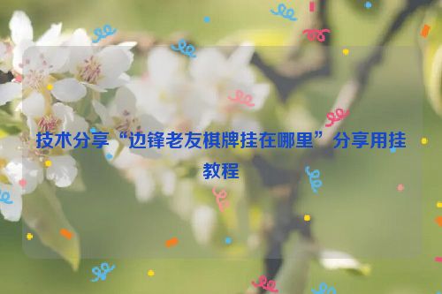 技术分享“边锋老友棋牌挂在哪里”分享用挂教程