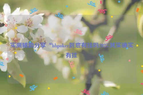 实测辅助分享“hhpoker到底有挂吗2025!其实确实有挂