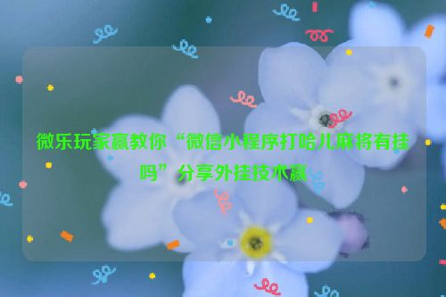 微乐玩家赢教你“微信小程序打哈儿麻将有挂吗”分享外挂技术赢
