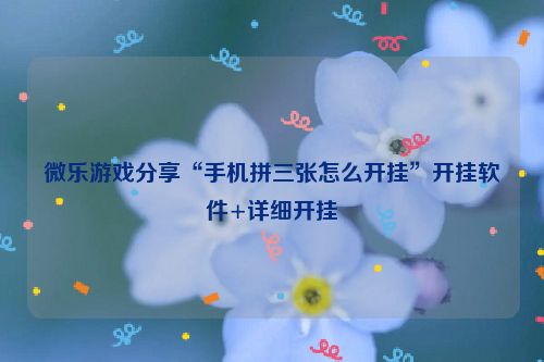 微乐游戏分享“手机拼三张怎么开挂”开挂软件+详细开挂