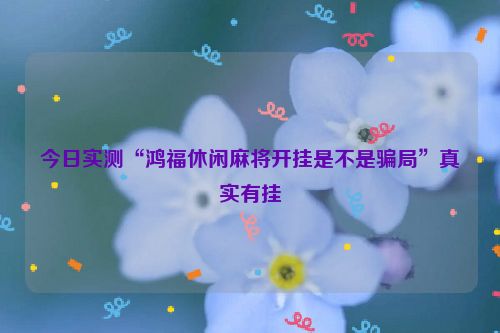 今日实测“鸿福休闲麻将开挂是不是骗局”真实有挂