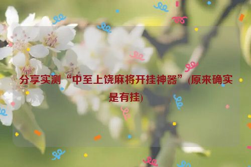 分享实测“中至上饶麻将开挂神器”(原来确实是有挂)