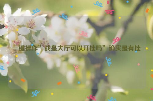一键操作”战皇大厅可以开挂吗”确实是有挂