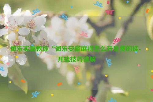微乐实测教你“微乐安徽麻将怎么开免费的挂- 开挂技巧讲解