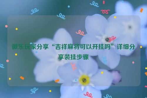 微乐玩家分享“吉祥麻将可以开挂吗”详细分享装挂步骤