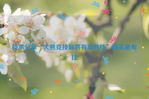 技术分享“大熊竞技麻将有没有挂”确实是有挂