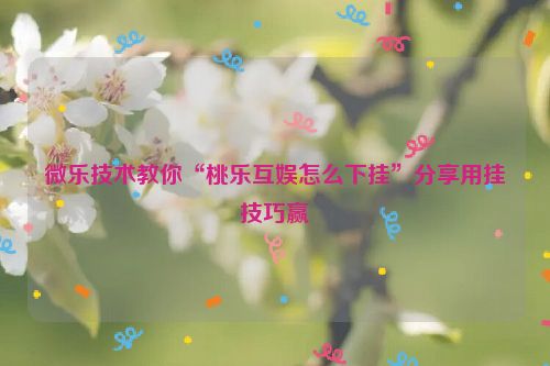 微乐技术教你“桃乐互娱怎么下挂”分享用挂技巧赢