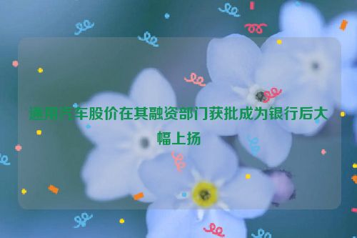通用汽车股价在其融资部门获批成为银行后大幅上扬