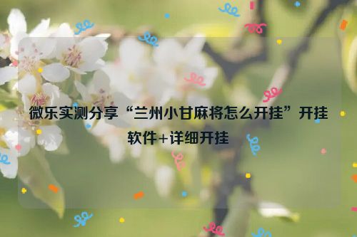 微乐实测分享“兰州小甘麻将怎么开挂”开挂软件+详细开挂