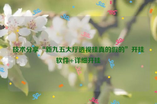 技术分享“新九五大厅透视挂真的假的”开挂软件+详细开挂