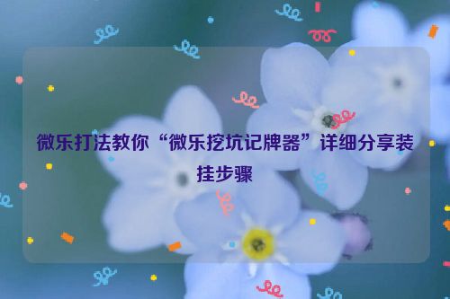 微乐打法教你“微乐挖坑记牌器”详细分享装挂步骤
