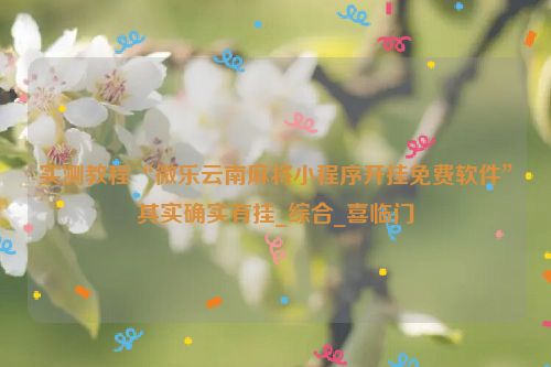 实测教程“微乐云南麻将小程序开挂免费软件”其实确实有挂_综合_喜临门