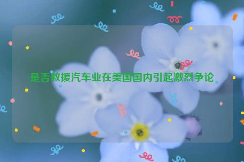 是否救援汽车业在美国国内引起激烈争论