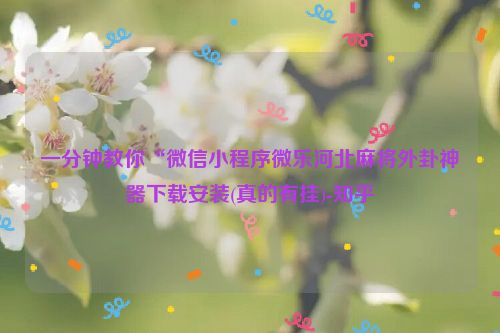 一分钟教你“微信小程序微乐河北麻将外卦神器下载安装(真的有挂)-知乎