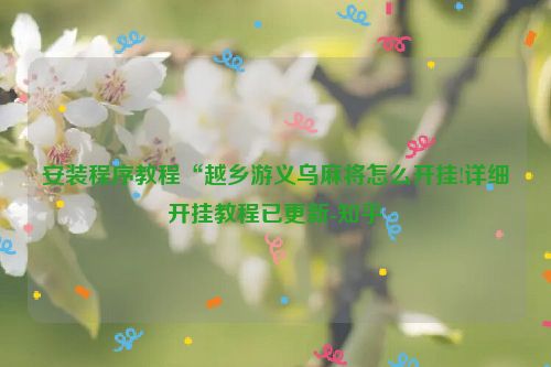 安装程序教程“越乡游义乌麻将怎么开挂!详细开挂教程已更新-知乎