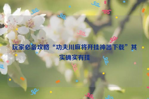 玩家必备攻略“功夫川麻将开挂神器下载”其实确实有挂