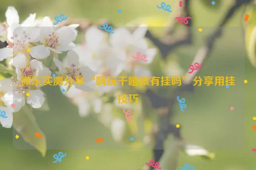 微乐实测分享“嗨玩干瞪眼有挂吗”分享用挂技巧