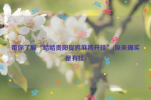 带你了解“哈哈贵阳捉鸡麻将开挂”(原来确实是有挂)