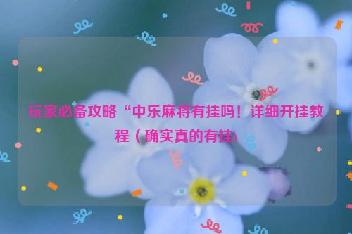 玩家必备攻略“中乐麻将有挂吗！详细开挂教程（确实真的有挂)