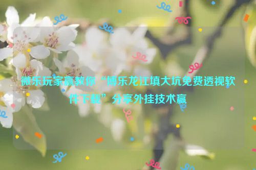 微乐玩家赢教你“博乐龙江填大坑免费透视软件下载”分享外挂技术赢