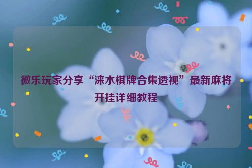 微乐玩家分享“涞水棋牌合集透视”最新麻将开挂详细教程