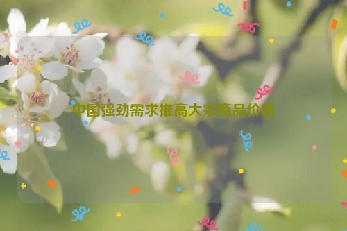 中国强劲需求推高大宗商品价格