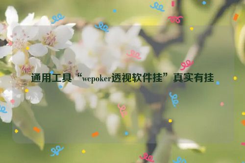 通用工具“wepoker透视软件挂”真实有挂