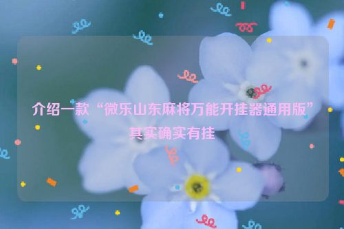 介绍一款“微乐山东麻将万能开挂器通用版”其实确实有挂