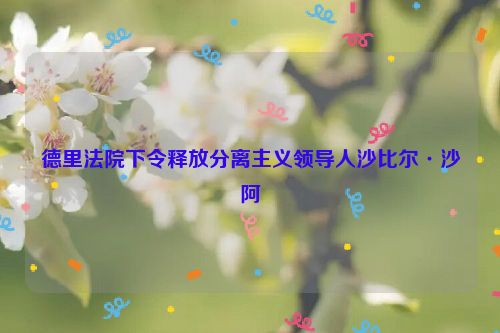德里法院下令释放分离主义领导人沙比尔·沙阿
