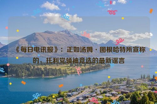 《每日电讯报》：正如汤姆·图根哈特所宣称的，托利党领袖竞选的最新谣言