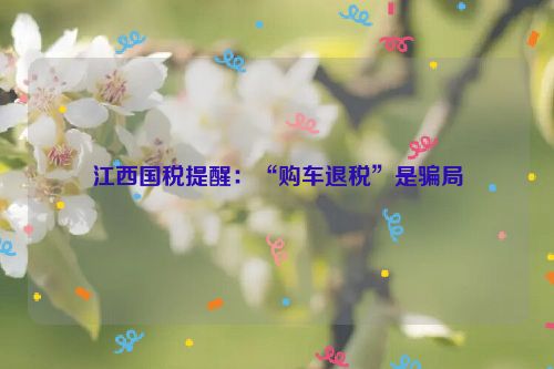 江西国税提醒：“购车退税”是骗局