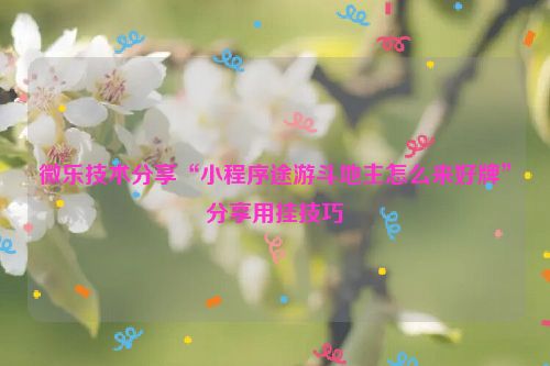 微乐技术分享“小程序途游斗地主怎么来好牌”分享用挂技巧