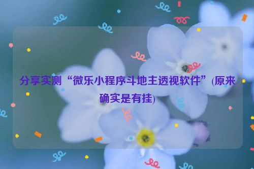 分享实测“微乐小程序斗地主透视软件”(原来确实是有挂)