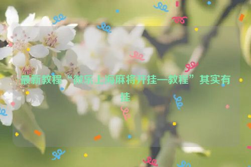 最新教程“微乐上海麻将开挂—教程”其实有挂