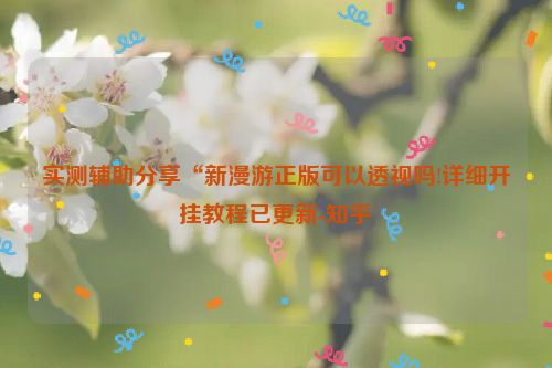 实测辅助分享“新漫游正版可以透视吗!详细开挂教程已更新-知乎