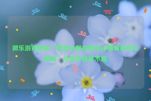 微乐游戏教你“微信小程序微乐山西麻将可以装挂”分享外挂技术赢