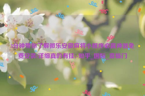 3分钟带你了解微乐安徽麻将小程序必赢神器免费安装(详细真的有挂)-知乎_国际_喜临门